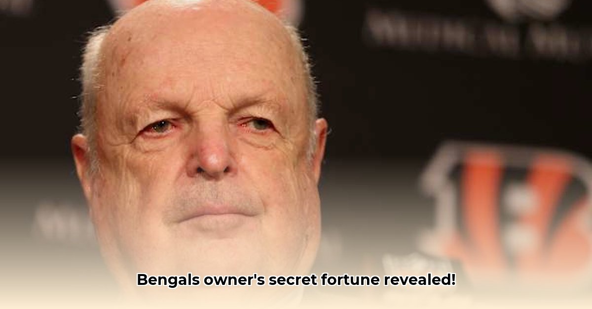 bengals-owner-net-worth